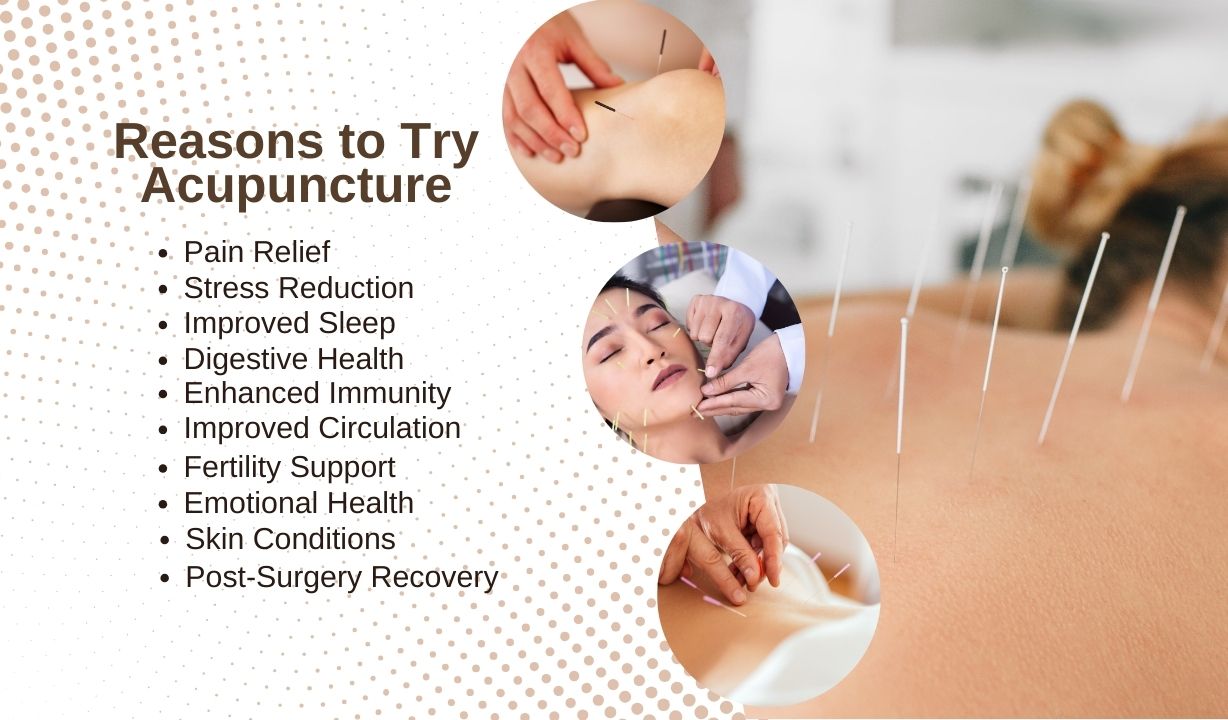 Top 10 Reasons to Try Acupuncture in barrie