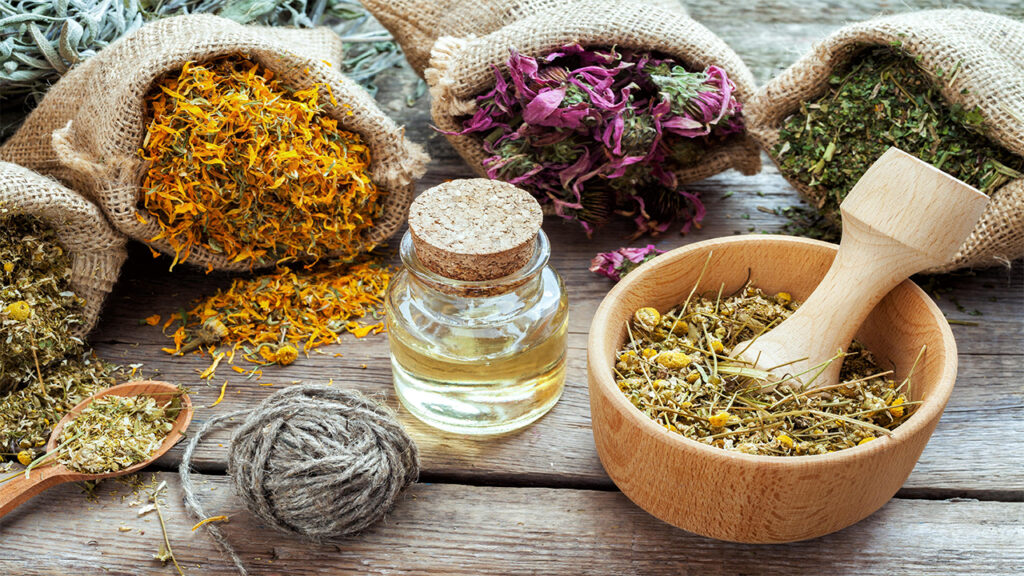 What is Botanical Medicine? How Supplements and Herbs Support Your Health.