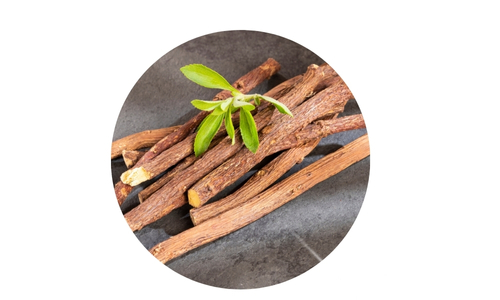 Adaptogens for Stress and Energy Balance 8 A circular frame showcasing a bundle of light brown, cylindrical sticks (resembling dried roots or twigs) arranged on a dark surface, topped with a small sprig of bright green leaves with oval-shaped foliage, set against a pure white background.