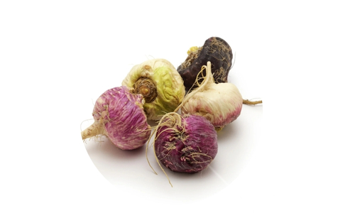 Adaptogens for Stress and Energy Balance 6 A cluster of root vegetables featuring two reddish-purple turnips with green stems, one pale yellow rutabaga, and one off-white parsnip, all resting on a pristine white surface.