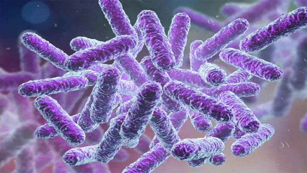 Naturopathic Remedies for IBS Relief 8 Vivid purple rod-shaped bacteria clustered together on a soft-focus purple-pink background.