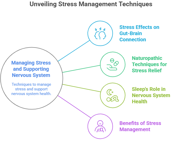 The Gut-Brain Axis: A Barrie Naturopath’s Guide to Holistic Healing 5 Infographic on managing stress and supporting nervous system health through stress effects on gut-brain connection, naturopathic techniques, sleep's role, and benefits.