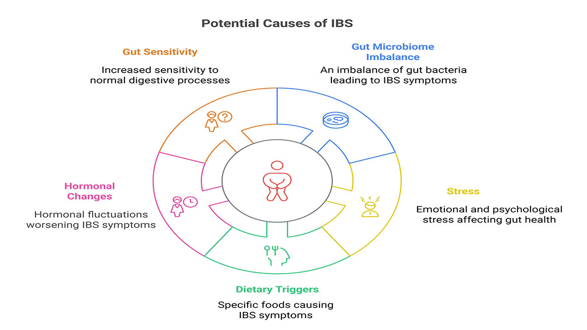 Naturopathic Remedies for IBS Relief 2 Remedies for IBS Relief: Diagram shows potential causes—gut sensitivity, microbiome imbalance, hormonal changes, stress, and dietary triggers—around a central figure.